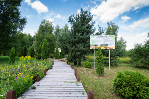 Эколого-просветительская программа «Леса России»